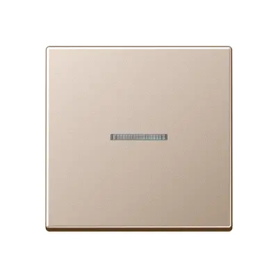 JUNG HOME dimmerknop 1-voudig A-range champagne (BT A 17101 CH)