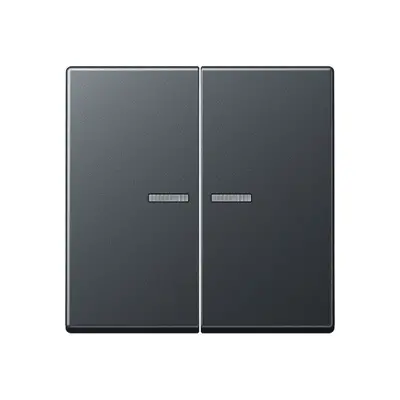 JUNG HOME dimmerknop 2-voudig A-range antraciet mat (BT A 17102 BF ANM)