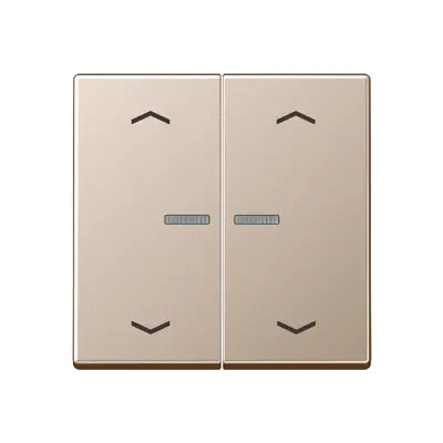 JUNG HOME dimmerknop 2-voudig met pijlsymbolen A-range champagne (BT A 17102 P CH)