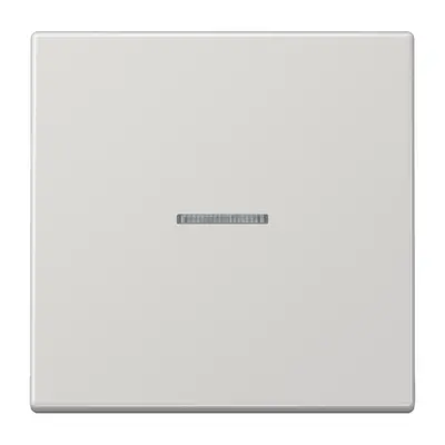 JUNG HOME dimmerknop 1-voudig LS990 lichtgrijs (BT LS 17101 LG)