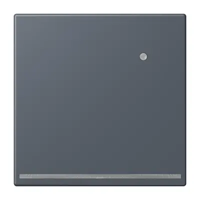 JUNG LED-orientatieverlichting met lichtsensor Les Couleurs gris fonce 59 262 (LC 1539-O LNW 262)