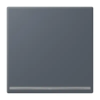 JUNG LED-orientatieverlichting Les Couleurs gris fonce 59 262 (LC 1539-OO LNW 262)