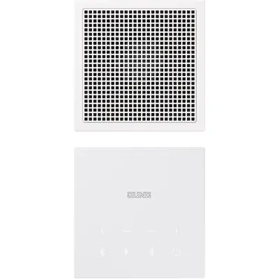 JUNG Systeeminterface bussysteem (BTC LS 918 WW)