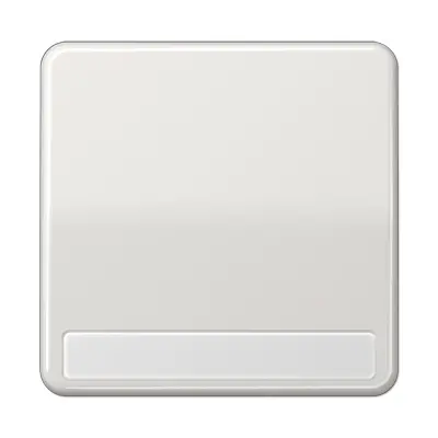 JUNG schakelwip met tekstvenster CD500 lichtgrijs (CD 590 NA LG)