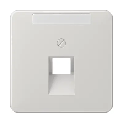 JUNG centraalplaat 1-voudig met tekstvenster tbv RJ45 wandcontactdoos CD500 lichtgrijs (CD 569-1 NAUA LG)