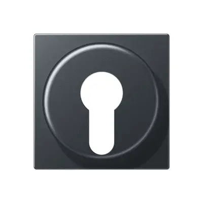 JUNG sleutel centraalplaat tbv jaloezie-sleutelschakelaar A-range antraciet mat (A 528 PL ANM)