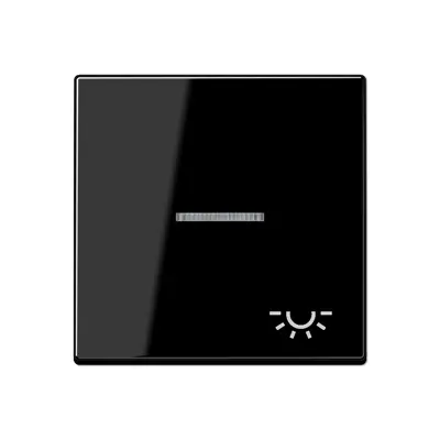 JUNG schakelwip met lichtsymbool en controlevenster A-range zwart glans (A 590 KO5 L SW)