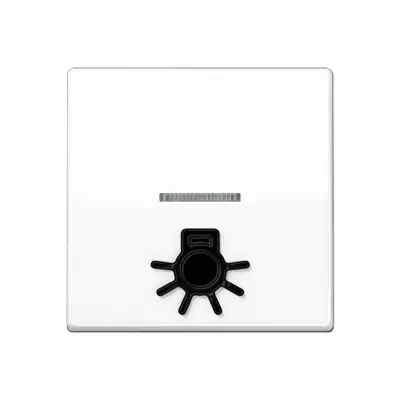 JUNG schakelwip met opgelegd lichtsymbool en controlevenster AS500 alpine wit (AS 591 L1KO5 WW)