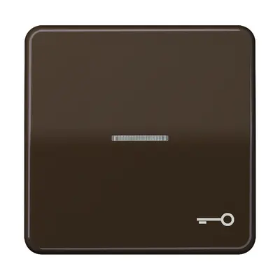 JUNG schakelwip met sleutelsymbool en controlevenster CD500 bruin (CD 590 KO5T BR)