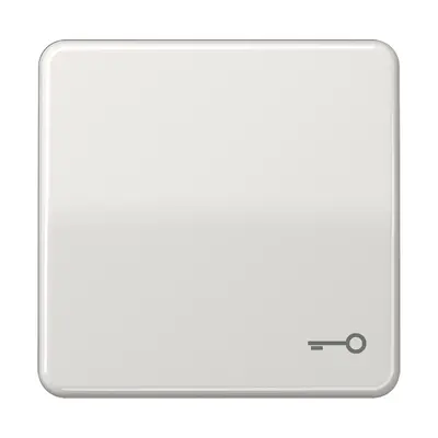 JUNG schakelwip met sleutelsymbool CD500 lichtgrijs (CD 590 T LG)