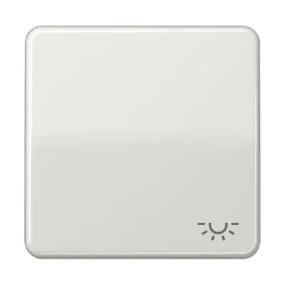 JUNG schakelwip met lichtsymbool CD500 lichtgrijs (CD 590 L LG)