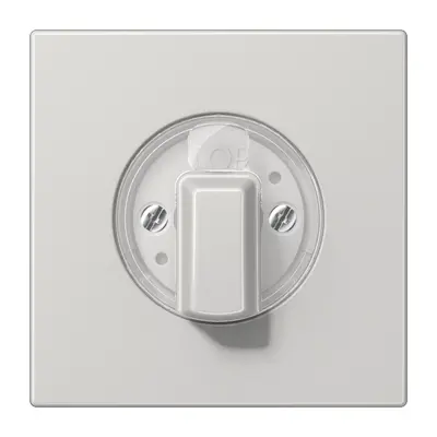 JUNG draaiknop tbv jaloezie of draaischakelaar LS990 lichtgrijs (LS 1941 LG)