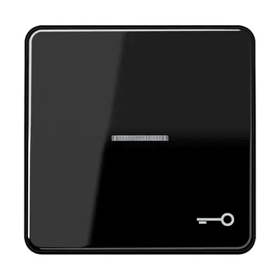 JUNG schakelwip met sleutelsymbool en controlevenster CD500 zwart glans (CD 590 KO5T SW)