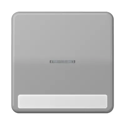 JUNG schakelwip met controlevenster en tekstvenster CD500 grijs (CD 590 NAKO5 GR)