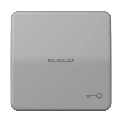 JUNG schakelwip met sleutelsymbool en controlevenster CD500 grijs (CD 590 KO5T GR)