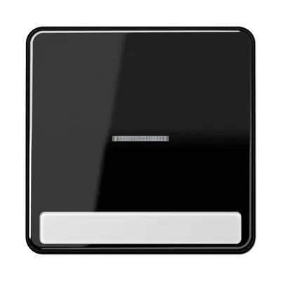 JUNG schakelwip met controlevenster en tekstvenster CD500 zwart glans (CD 590 NAKO5 SW)