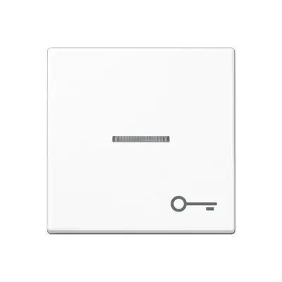 JUNG schakelwip met sleutelsymbool en controlevenster A-range alpine wit (A 590 BFKO5 T WW)