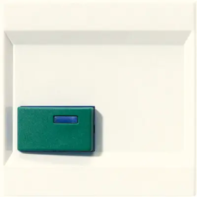 JUNG Centraalplaat Creme (LS 642 C)