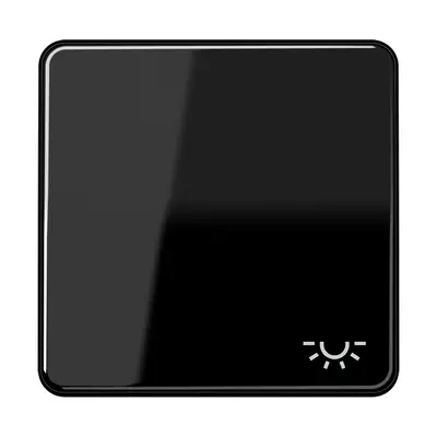 JUNG schakelwip met lichtsymbool CD500 zwart (CD 590 L SW)