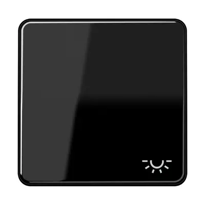 JUNG schakelwip met lichtsymbool CD500 zwart glans (CD 590 L SW)