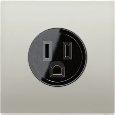JUNG Wcd 1v NEMA Inbouw (ES 2521-15)