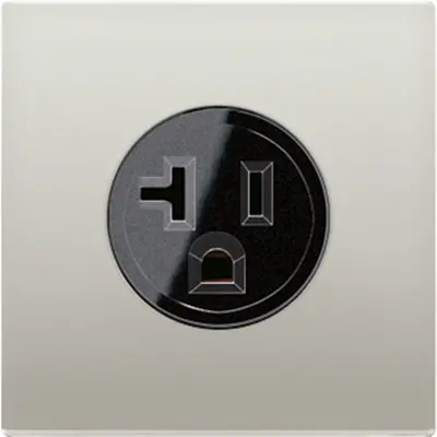 JUNG Wcd 1v NEMA Inbouw (ES 2521-20)