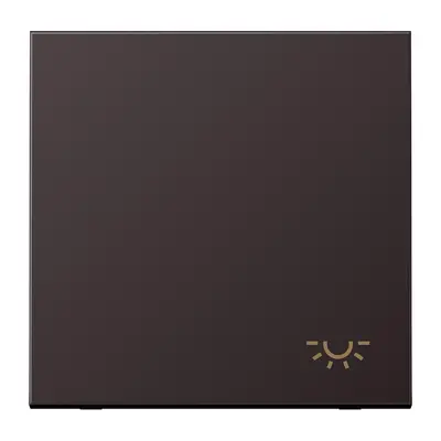 JUNG schakelwip met lichtsymbool LS990 dark gelakt aluminium (AL 2990 L D)