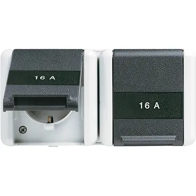 JUNG wandcontactdoos wg800 2v tekstv sch wand (8220 NAWTS)