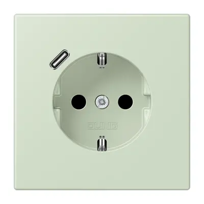 JUNG wandcontactdoos randaarde Safety+ met USB-C Les Couleurs vert anglais pale 218 (LC 1520-18 C 218)