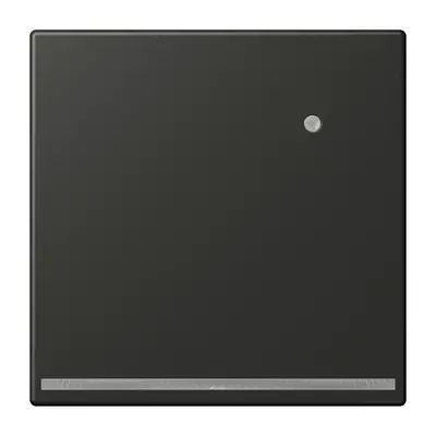 JUNG LED-orientatieverlichting met geïntegreerde lichtsensor LS990 antraciet gelakt aluminium (AL 1539-O AN LNW)