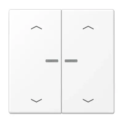 JUNG schakelwip 2-voudig met controlevenster voor HOME draadloze schakelaar LS990 sneeuwwit mat (LS 102 KO5P WWM)