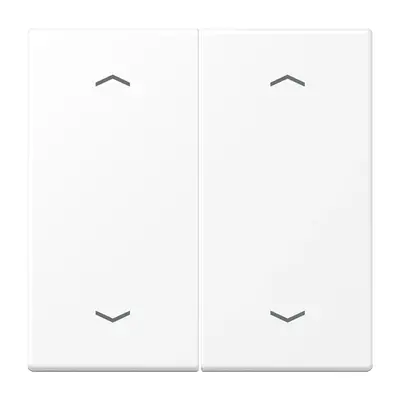 JUNG 2-voudige wip met dubbele pijlsymbolen LS990 sneeuwwit mat (LS 995 MP WWM)