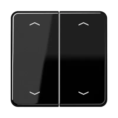 JUNG schakelwip 2-voudig met pijlsymbolen CD500 zwart glans (CD 595 MP SW)