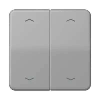 JUNG schakelwip 2-voudig met pijlsymbolen CD500 grijs (CD 595 MP GR)