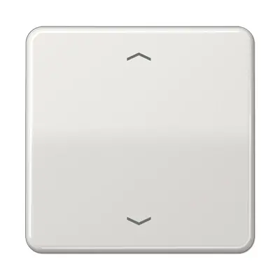 JUNG schakelwip met pijlsymbolen CD500 lichtgrijs (CD 590 P LG)