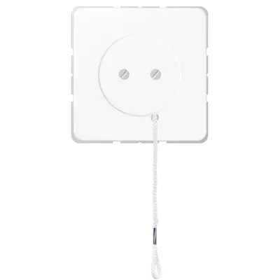 JUNG trekschakelaar wissel zonder afdekraam CD500 alpine wit (Z 506 NUZ VWW)