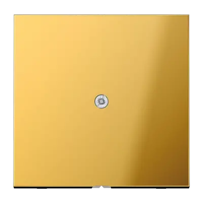 JUNG centraalplaat met snoerinvoer en draagring LS990 goudkleurig (GO 2990 A)