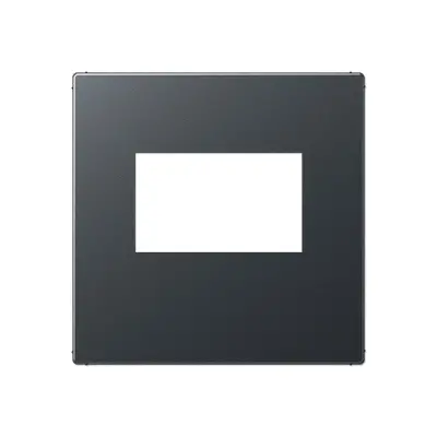 JUNG centraalplaat USB-lader met klikbevestiging A-range antraciet mat (A 1569 USB ANM)