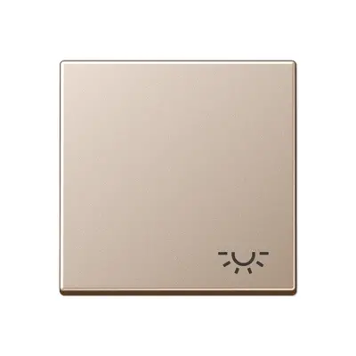 JUNG schakelwip met lichtsymbool A-range champagne (A 590 L CH)