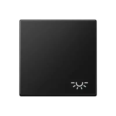 JUNG schakelwip met lichtsymbool A-range grafietzwart mat (A 590 L SWM)