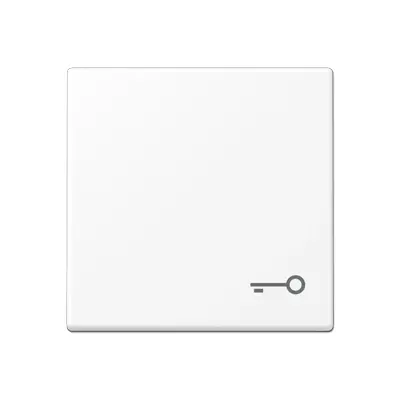 JUNG schakelwip met sleutelsymbool A-range sneeuwwit mat (A 590 T WWM)