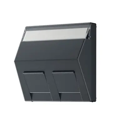 JUNG centraalplaat voor montage adapter 30 graden met tekstvenster A-range antraciet mat (A 569-30 BF PL ANM)