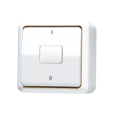 JUNG opbouw 2-polige schakelaar 10A AP600 alpine wit (602 A WW)