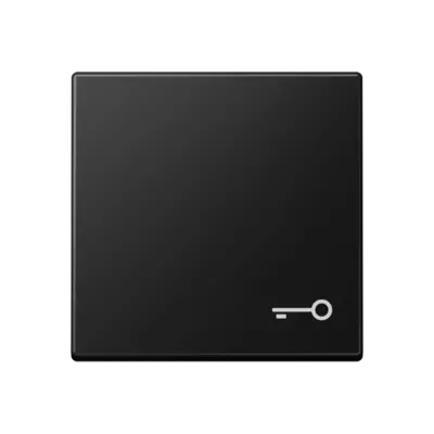 JUNG schakelwip met sleutelsymbool A-range grafietzwart mat (A 590 T SWM)