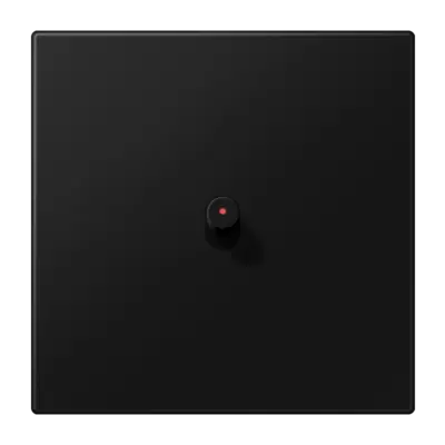 JUNG schakelwip met lens cilinder LS1912 grafietzwart mat (AL 12-0 KO SWM R 08)