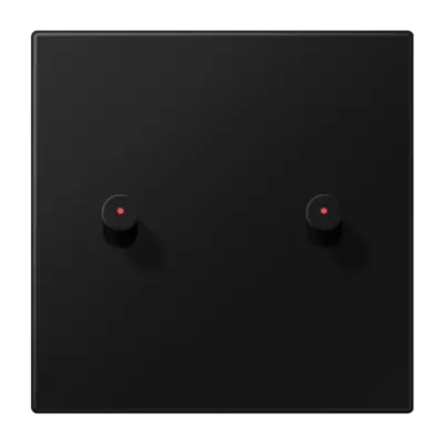 JUNG schakelwip 2-voudig met lens kegel LS1912 grafietzwart mat (AL 12-5 KO SWM K 08)