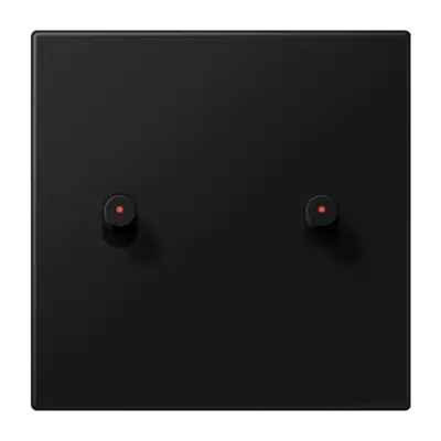 JUNG schakelwip 2-voudig met lens cilinder LS1912 grafietzwart mat (AL 12-5 KO SWM R 08)