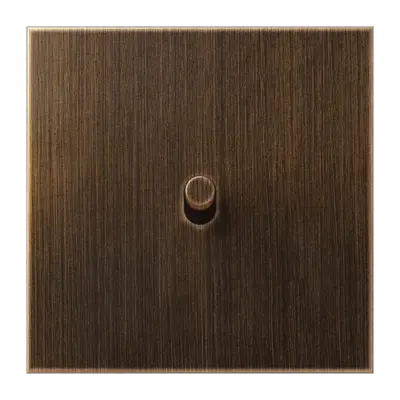 JUNG schakelwip cilinder LS1912 messing antiek (ME 12-0 AT R 26)