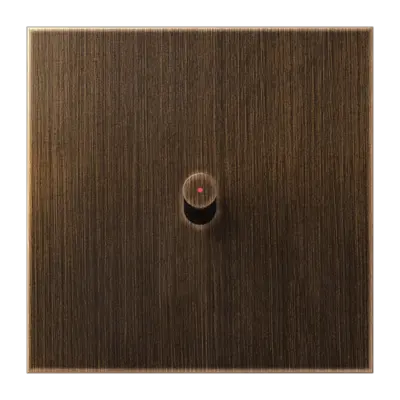 JUNG schakelwip met lens cilinder LS1912 messing antiek (ME 12-0KO AT R 26)