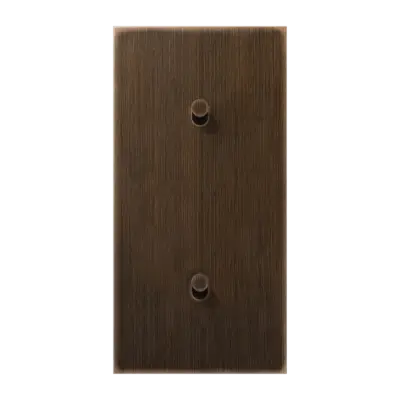 JUNG schakelwip kegel voor 2 x enkele schakelaar verticaal LS1912 messing antiek (ME 12-20 AT K 26)